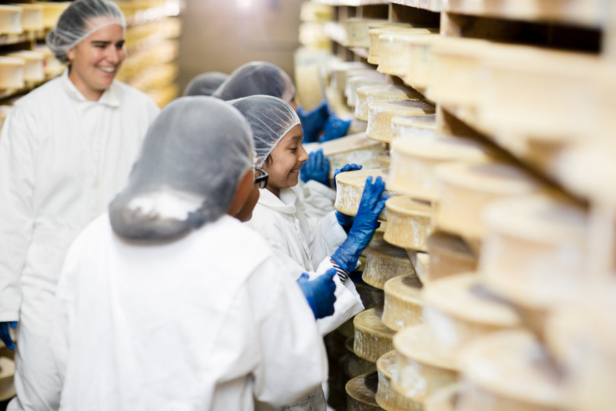 Spring Brook Farm: Raising a New Generation of Cheese Lovers With Raclette