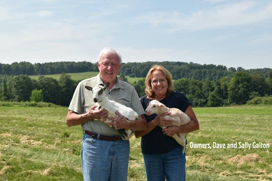 Old Chatham Creamery: Shepherd of New York