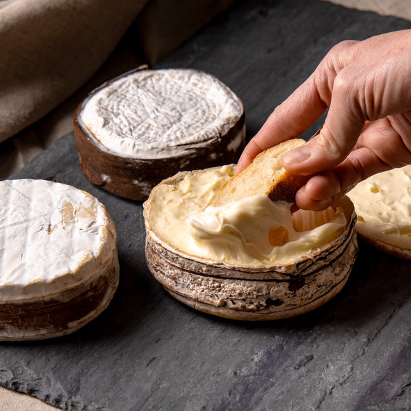 What is Bark-Wrapped Cheese?
