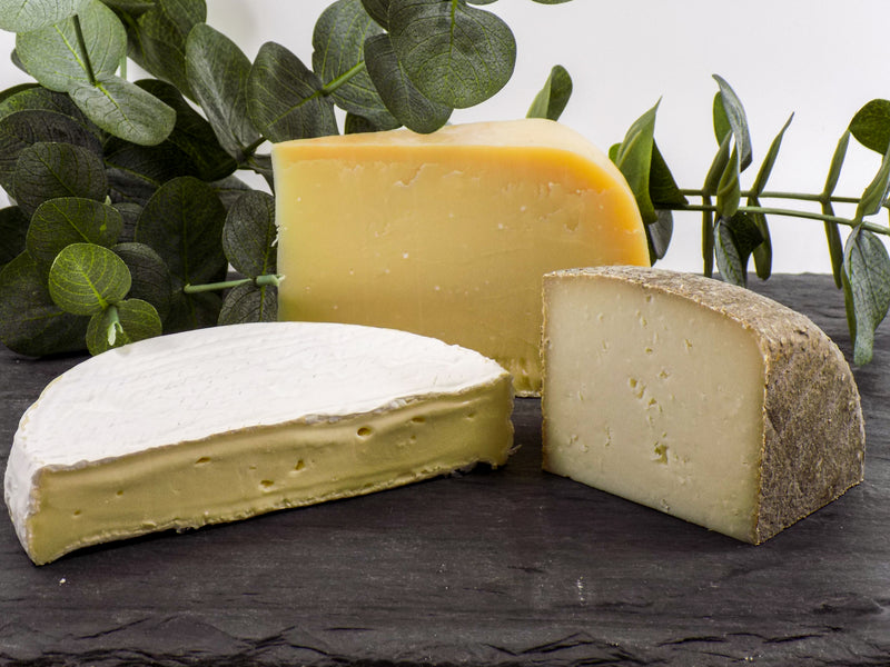 June 2022 Cheese of the Month Club Selections