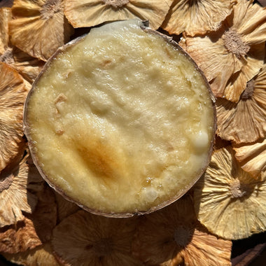 Rush Creek Reserve bark wrapped seasonal cow's milk cheese Upland's