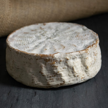 Rebel Miel washed rind sheep's milk cheese Landmark Creamery