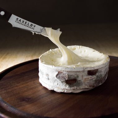 Harbison bark wrapped bloomy rind cow's milk gooey cheese Jasper Hill Farm