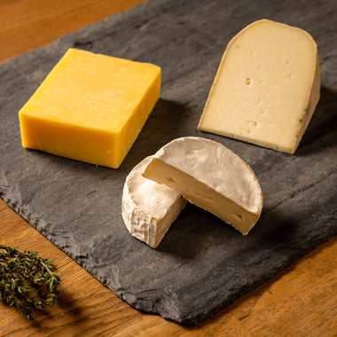 Cheese 101 Selection gift set cow's, goat's milk cheese Little Hosmer, Shelburne Cheddar, Finger Lakes Gold