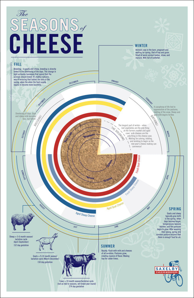 Seasons of Cheese Poster | Saxelby Cheese