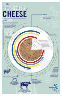 Seasons of Cheese Poster Saxelby Cheese