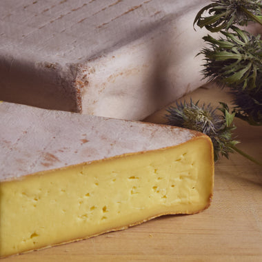 Grayson washed rind seasonal cow's milk cheese Meadow Creek Dairy