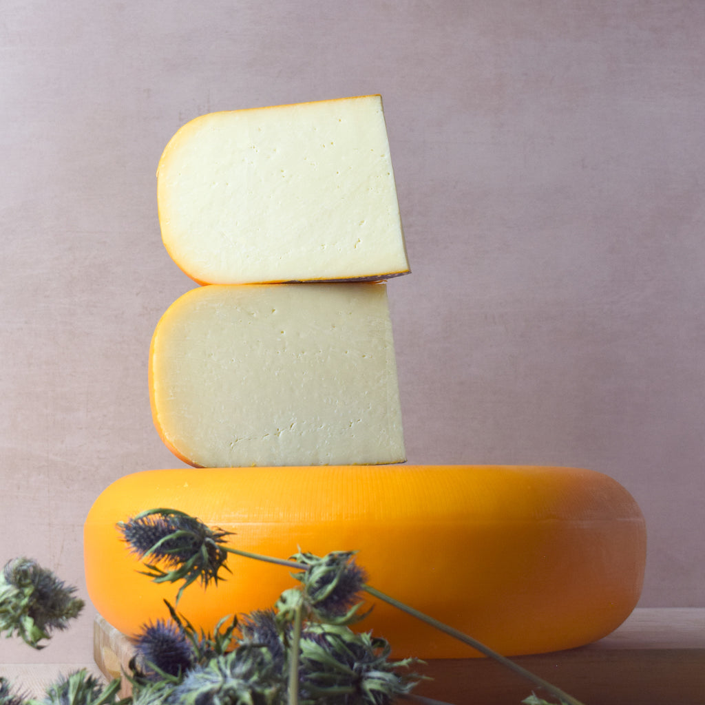 Young Gouda Cheese Saxelby Artisan Cheese Saxelby Cheese
