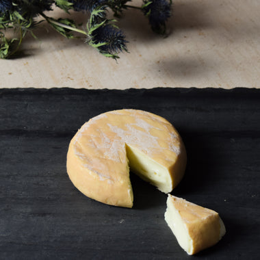 Willoughby washed rind cow's milk cheese Jasper Hill Farm