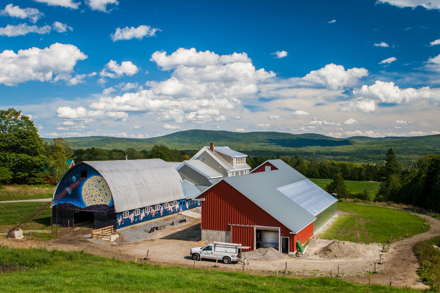 Jasper Hill Farm: Dairy Revivalists of the Northeast Kingdom