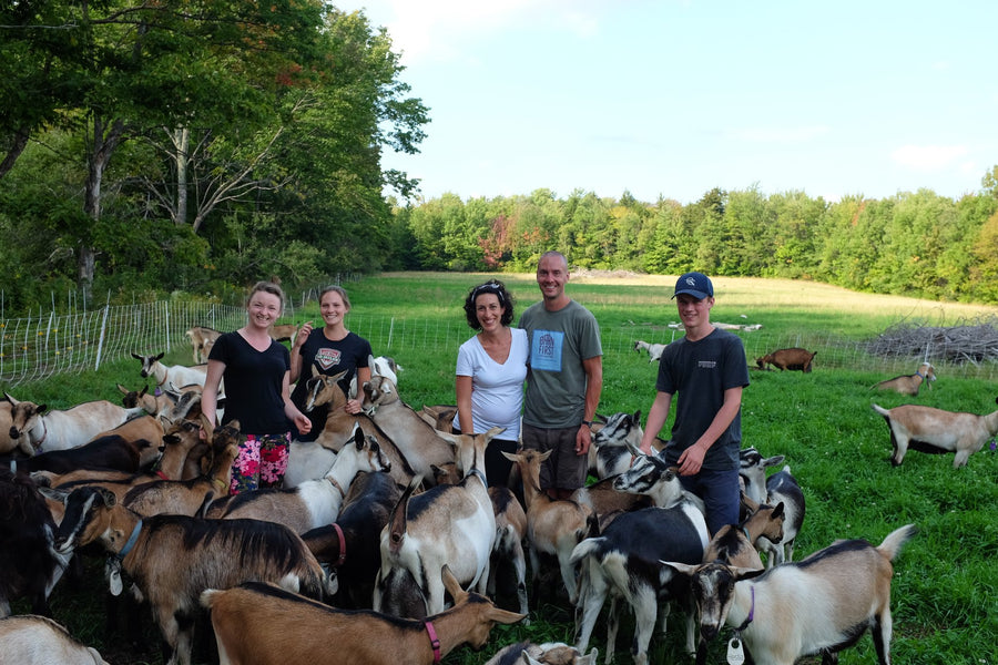 Barn First Creamery - Uncommon Artisanal Goat’s Milk Cheese from Vermont