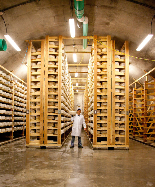 A Five Minute History of Cabot Clothbound Cheddar