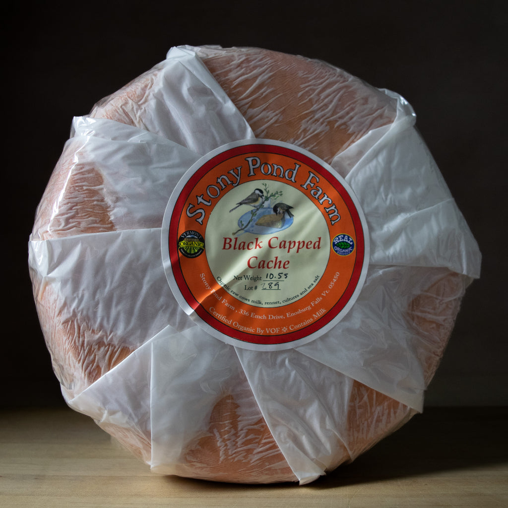 Black Capped Cache | Saxelby Artisan Cheese | Saxelby Cheese